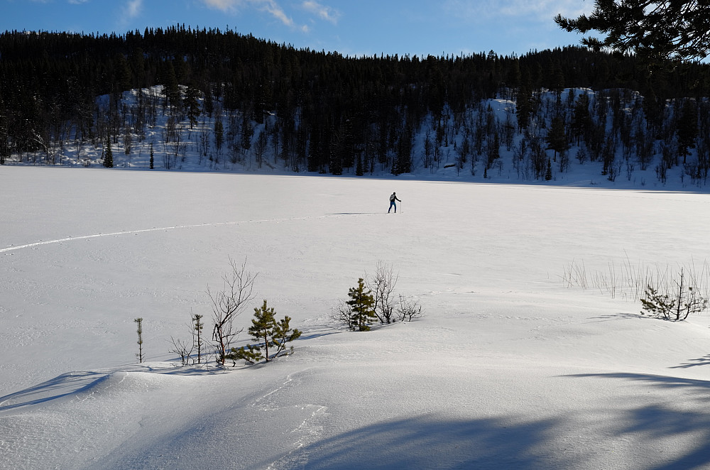 Stortjønna