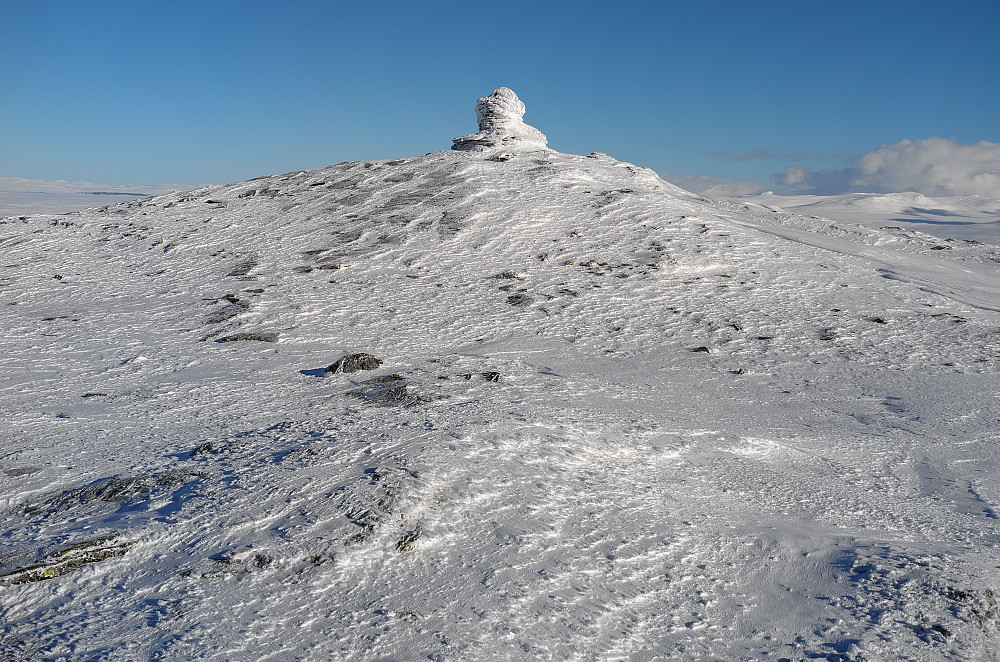Spekehøan