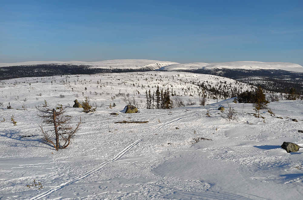 Gråhøgda sørøst