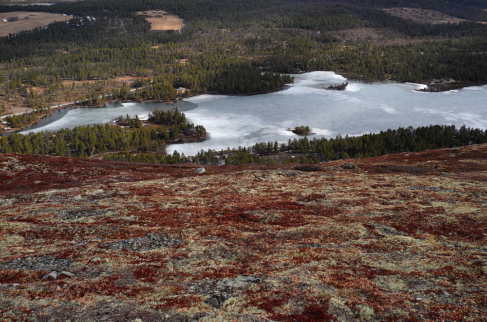 Lemonsjøen nord