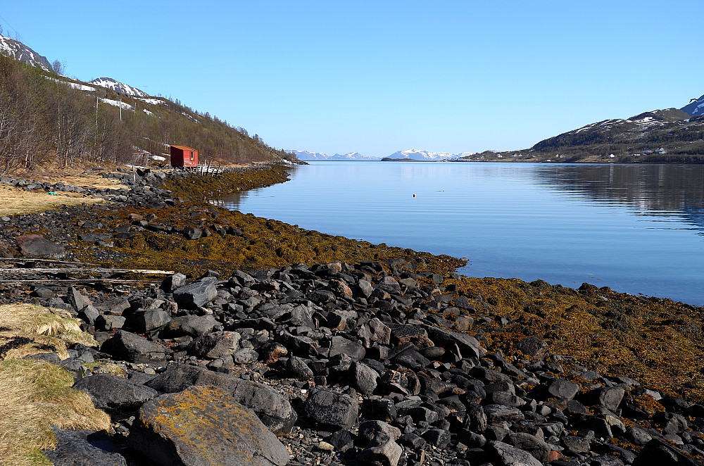 Nuvsfjorden