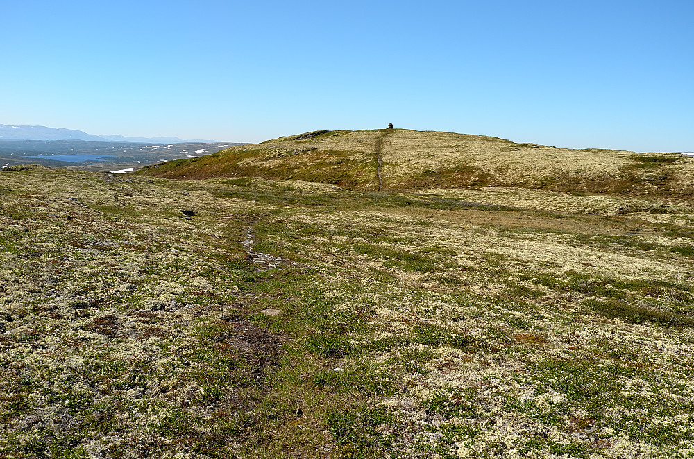 Muggholskampen