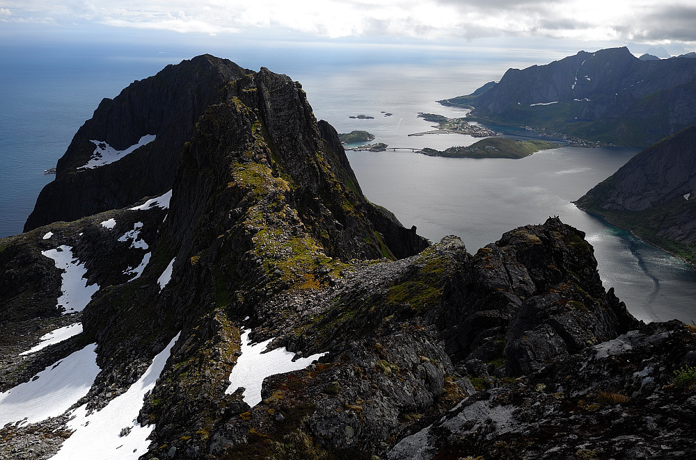 Reine