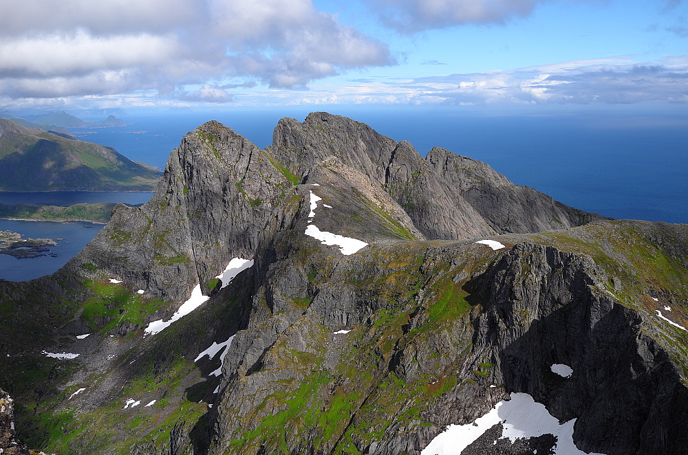 Solbjørn
