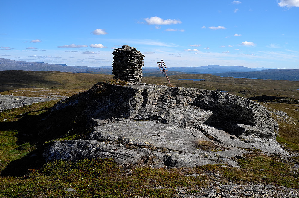 Grønvola