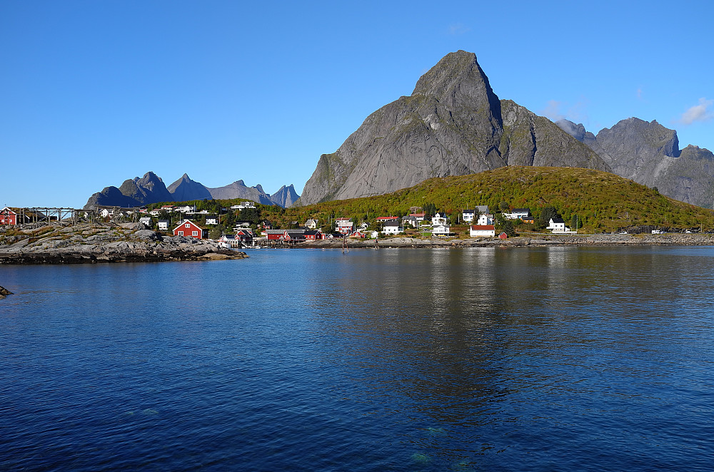 Reine