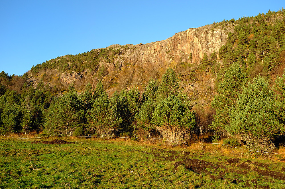 Kamvikfjellet