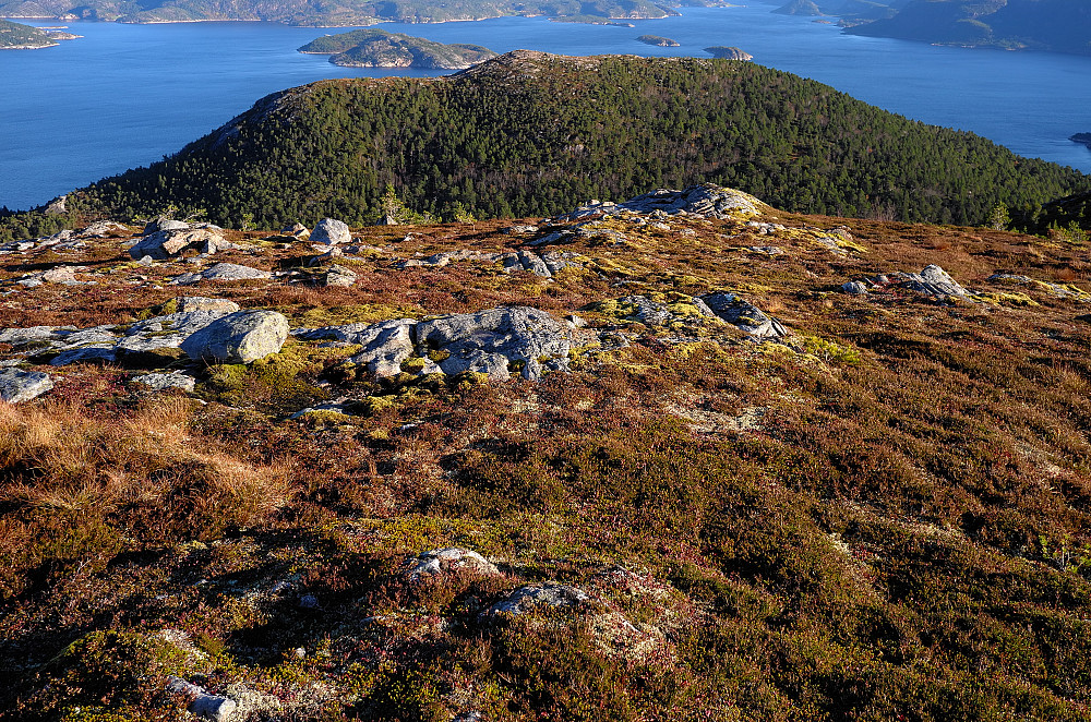 Torvikkammen