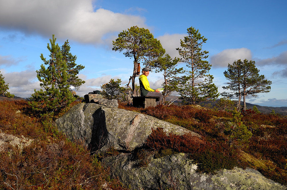Kongen på haugen