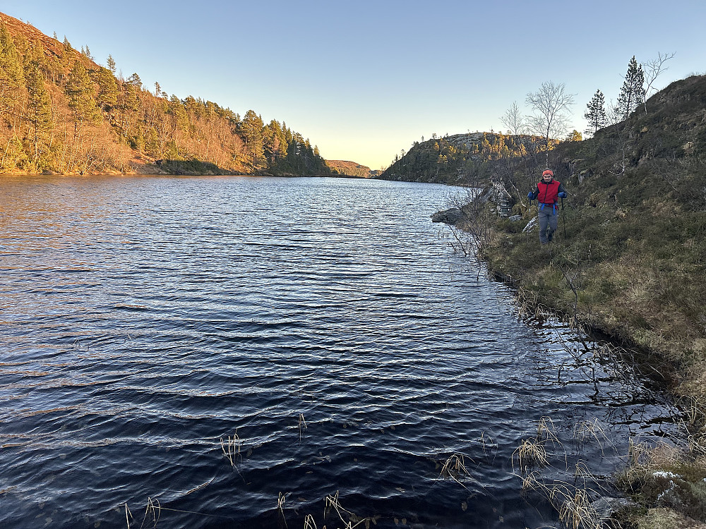 Almtjønna