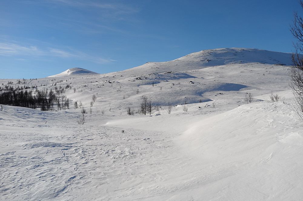 Veslfjellkampen og Svartkampen