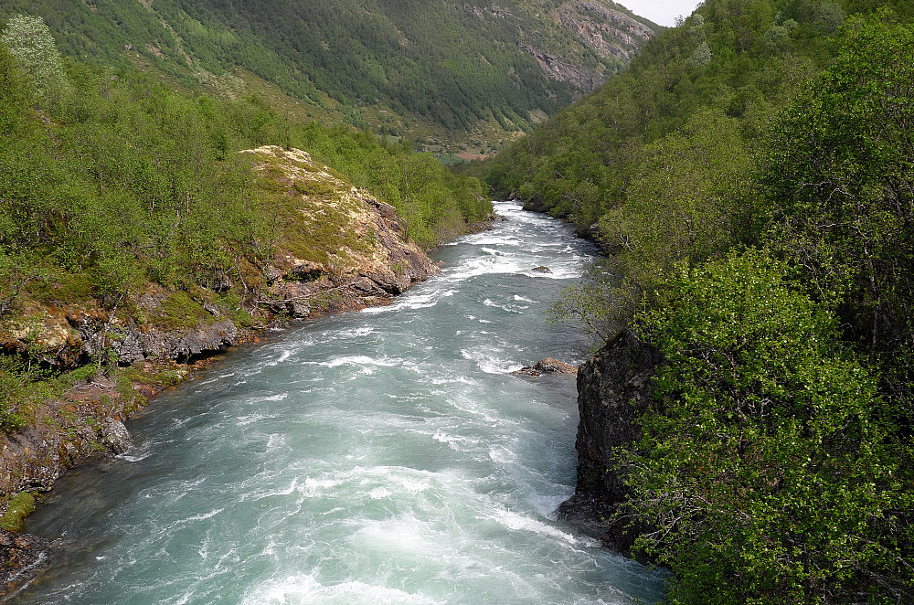 Bøvra