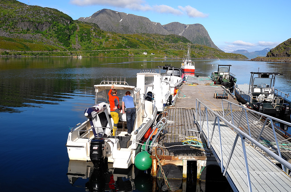 Hønsebybotn