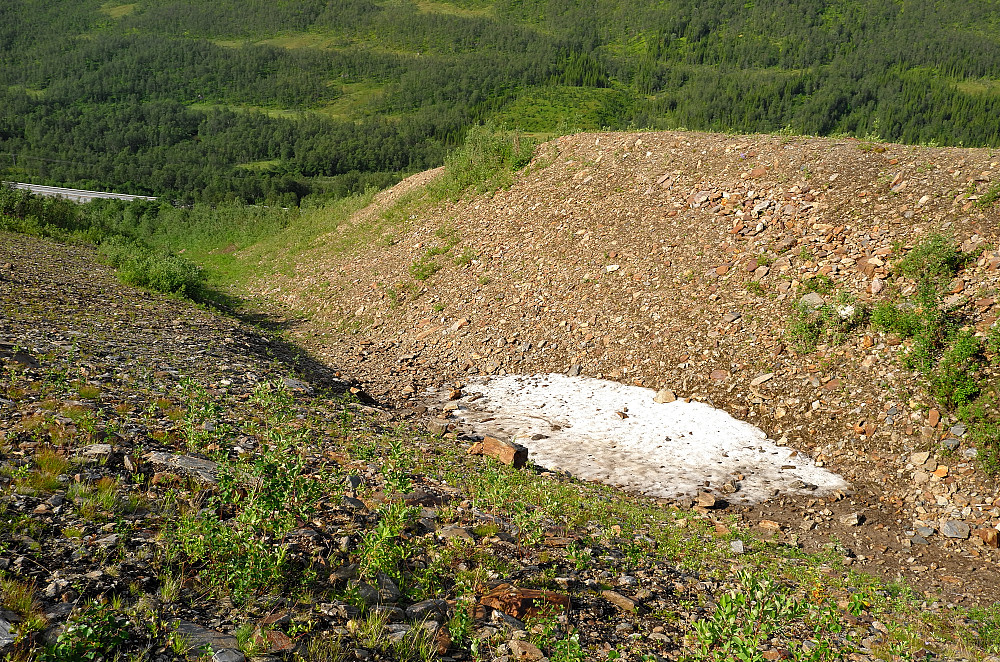 Sikringsvollen