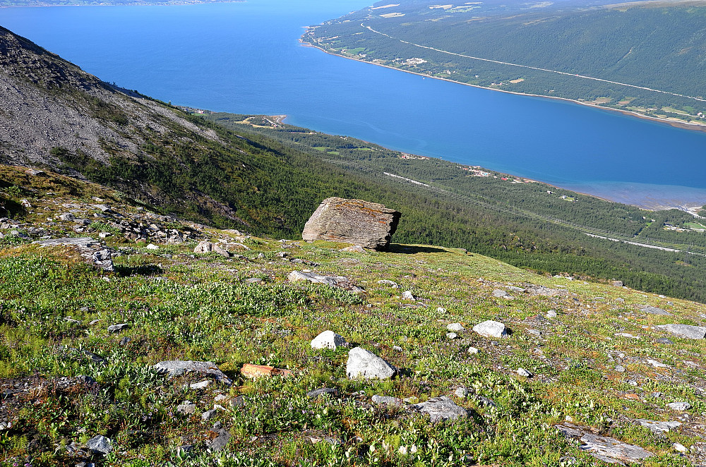 Dalens største stein