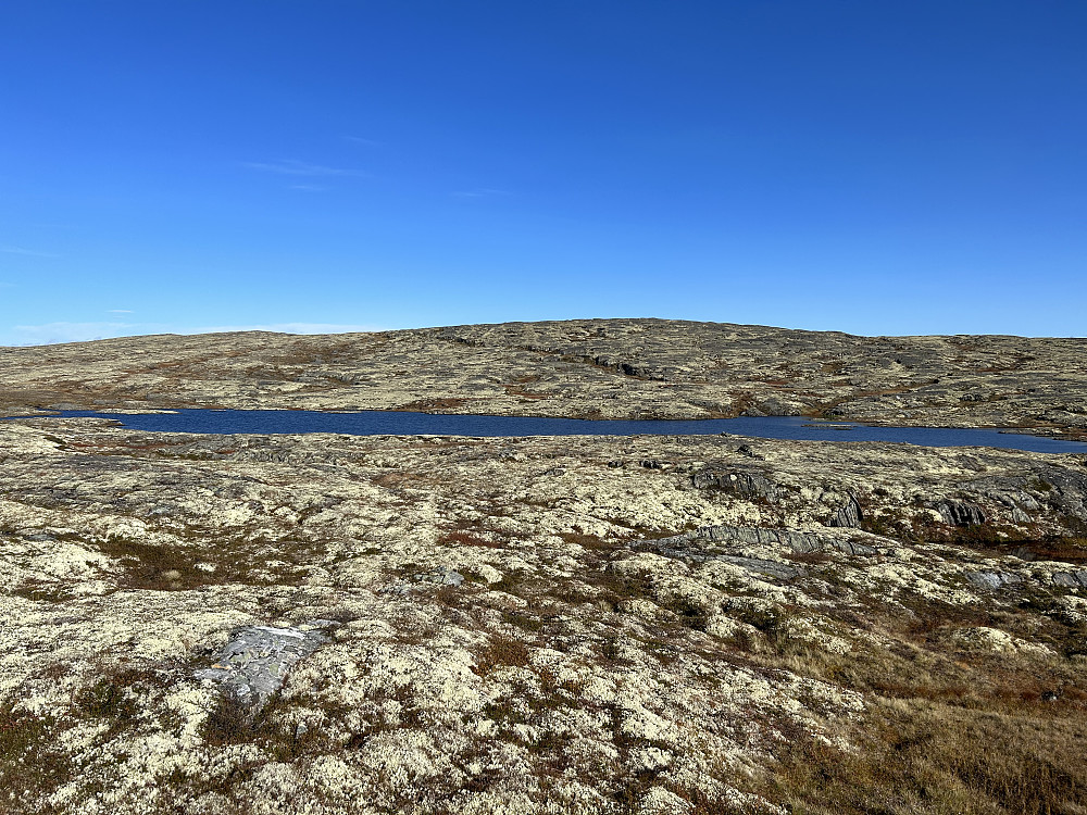 Fjellbekktjønna