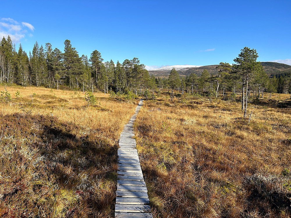 Stien ender ved Vigdvatnet og ikke på Risvola