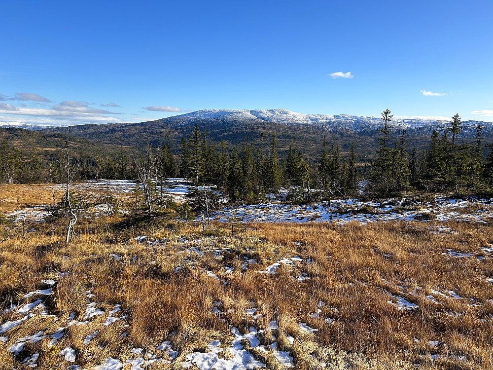 Blåstøyten