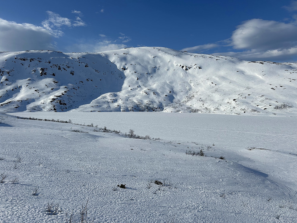 Saufjellet