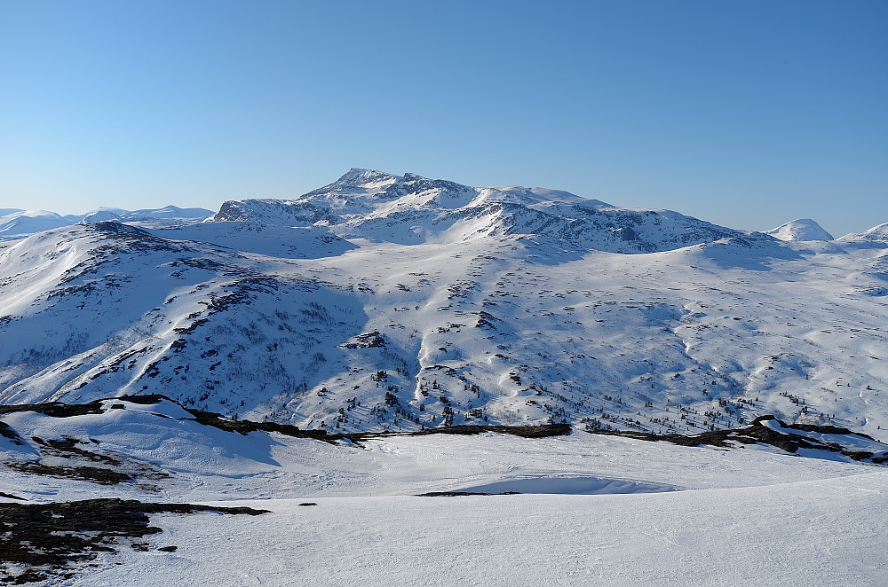Snota