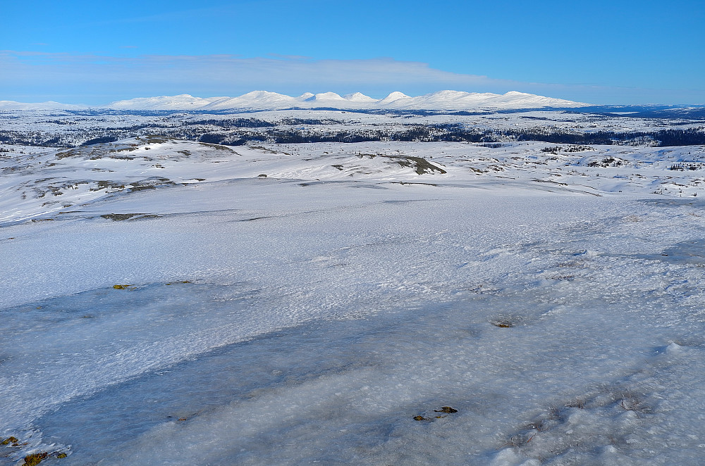Skjækerfjella i det fjerne