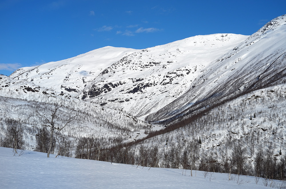 Stormdalen mot Skarpneset