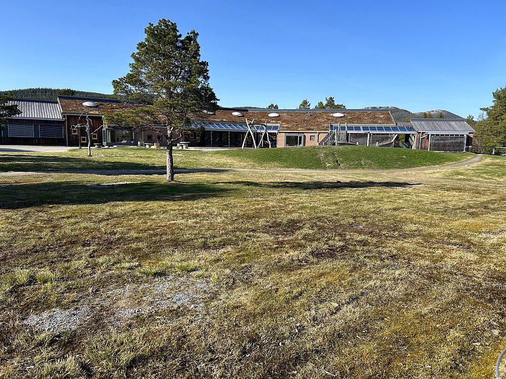 Barnehagen