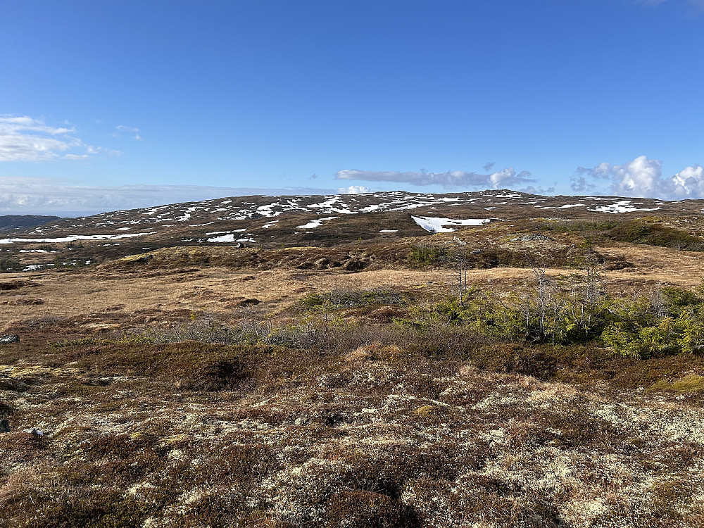 Årliklumpen