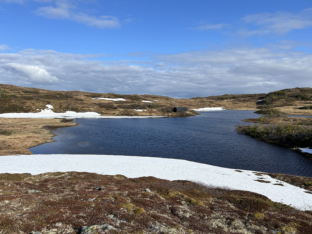 Forrastjønna