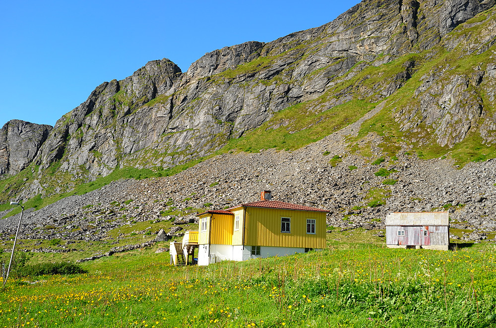 Breivika