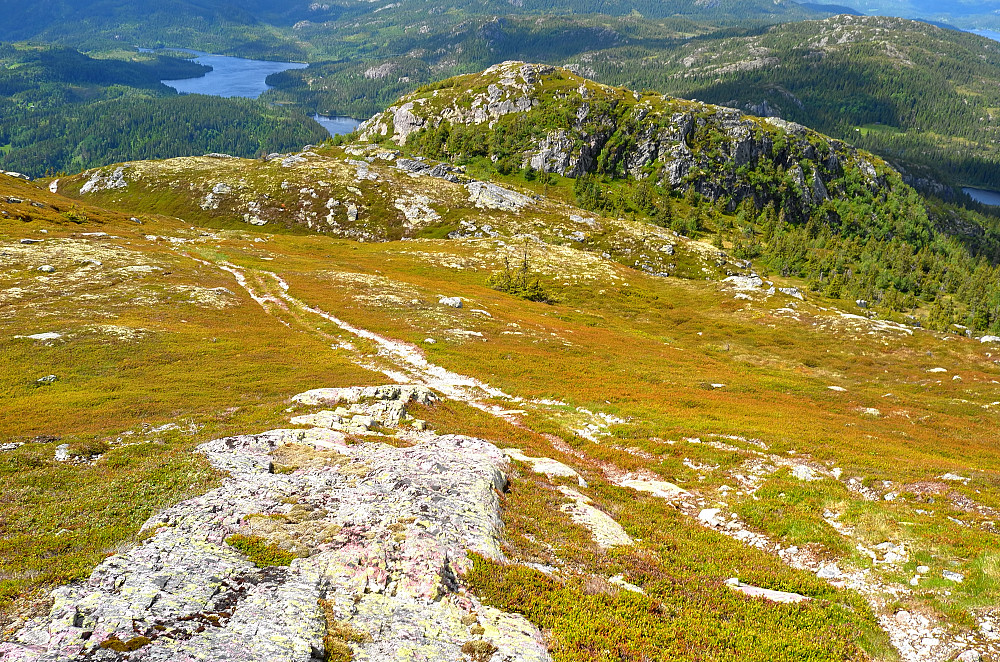 Jåfjøll-toppen