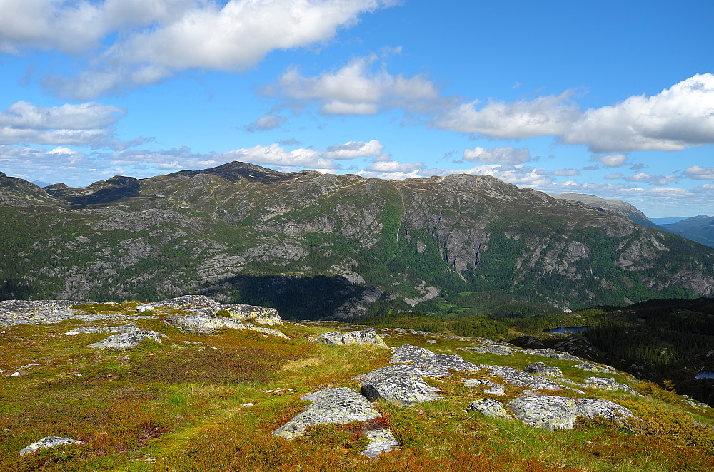 Skorve