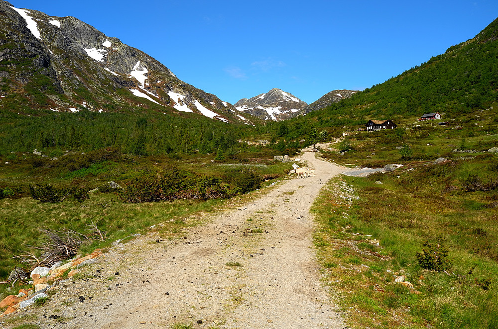 Fortoppen i sikte