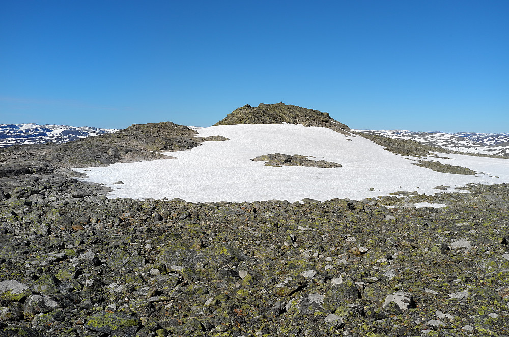 Nest høyest