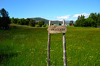 otto_20240704_66870527ed64a.jpg