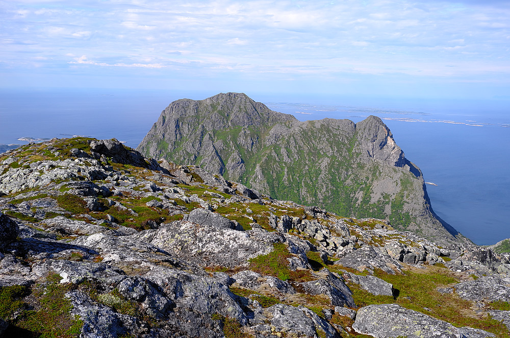Gjura