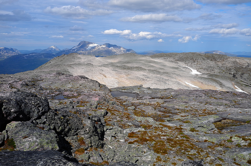Snota