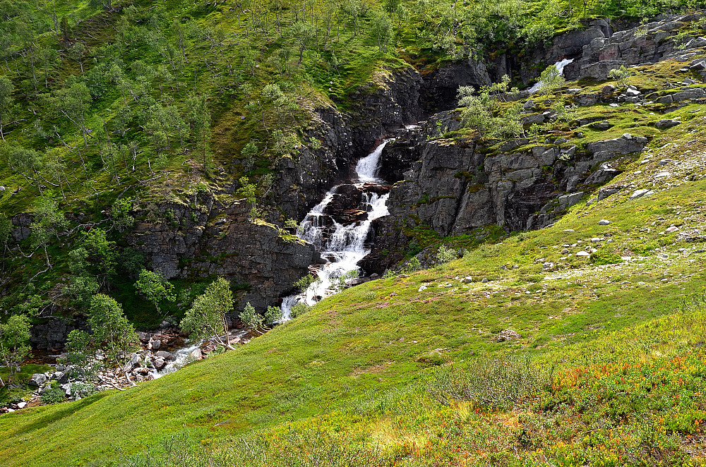Litlsvartåa