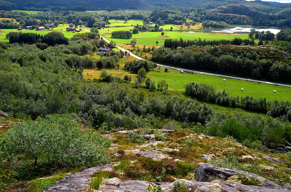 Tomsvik