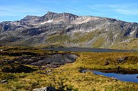 otto_20240827_66ce329103a19.jpg