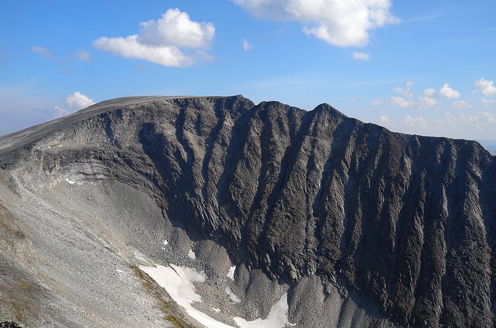 Storsomrungnebba