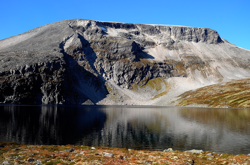Kaldfonna