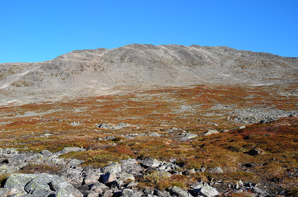 Skarvdalseggen