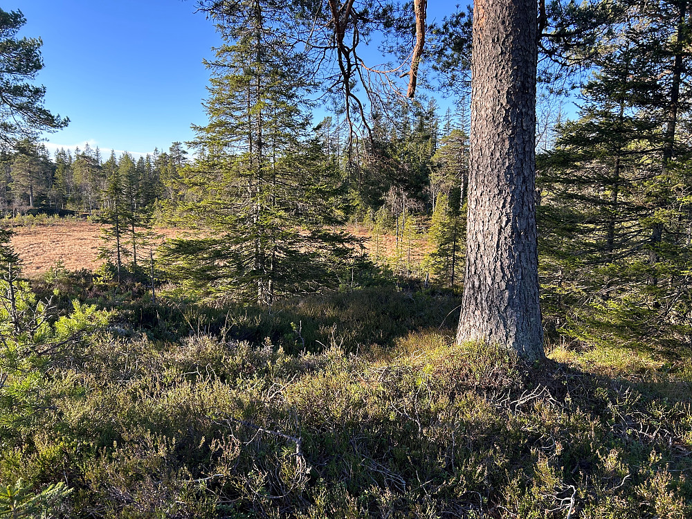 To jamnhøye punkt