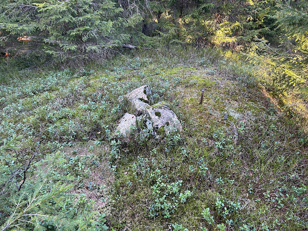 560