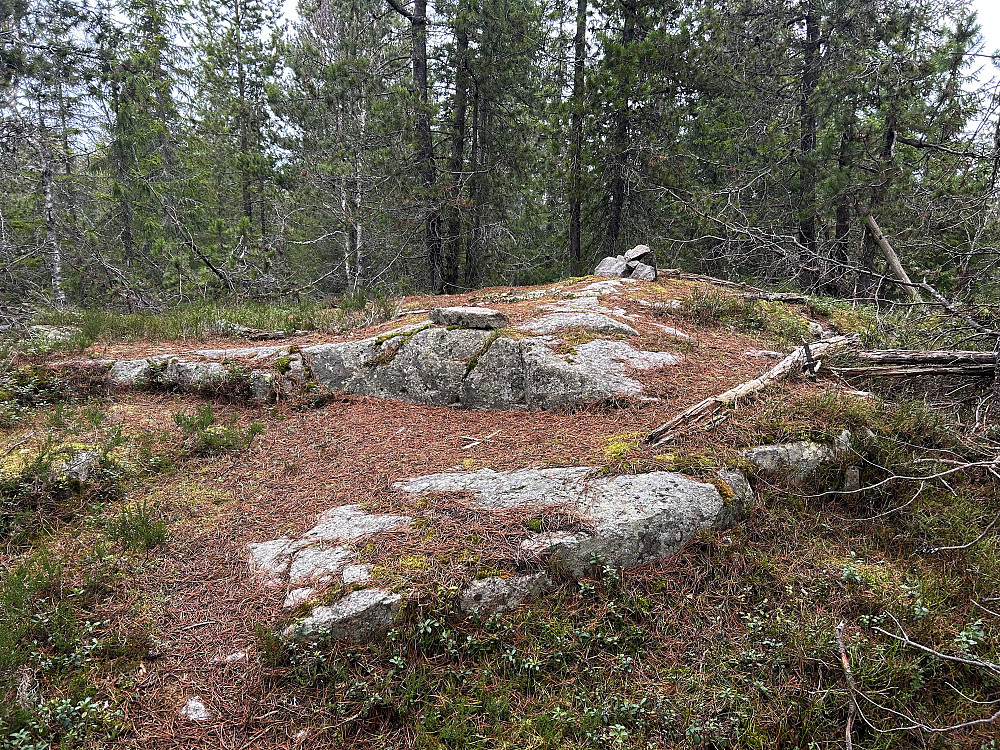 Barlindhøgda