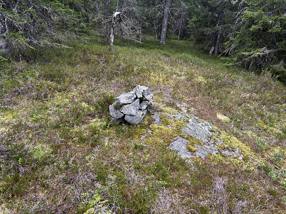 Glotjernskollen
