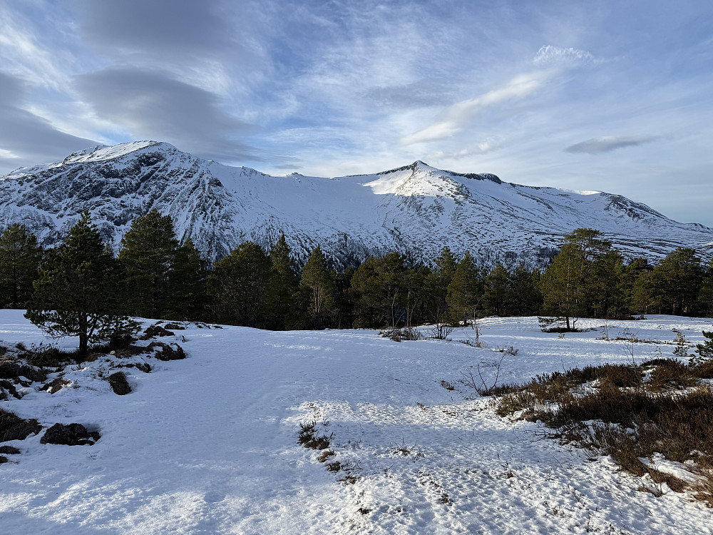 Smisetnebba