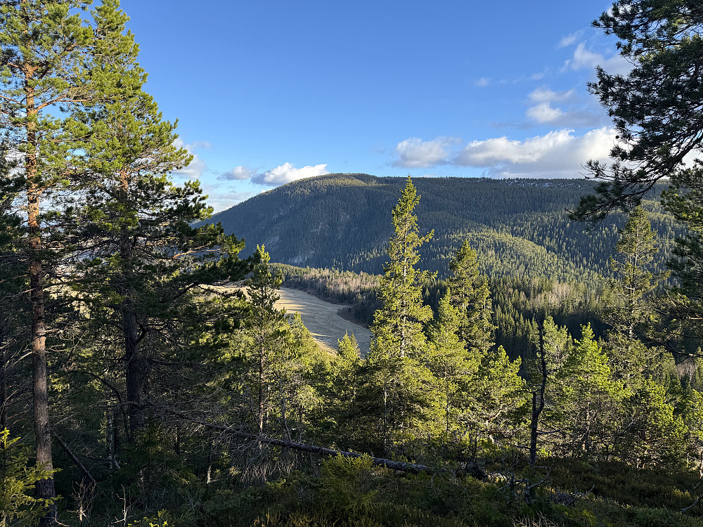Stokkvola