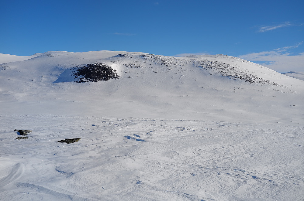 Storhøe